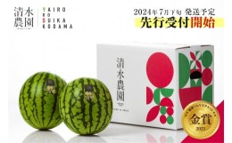 【ふるさと納税】2024年7月中旬発送予定　野菜ソムリエサミット金賞受賞　はずれの無い甘さ「清水農園のこだわり小玉スイカ」（2玉）