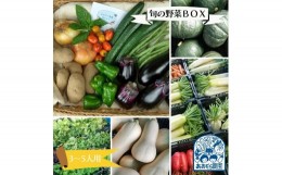 【ふるさと納税】毎日の食卓に季節の野菜を☆「あおぞら農園」の旬の野菜BOX（３〜５人用）