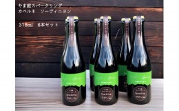【ふるさと納税】カベルネ・ソービニヨンの辛口スパークリングワイン 小瓶6本セット