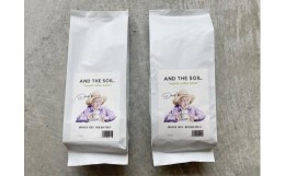 【ふるさと納税】【福岡高砂】AND THE SOIL.オリジナル焙煎ディカフェオーガニックコーヒー豆MEX　中煎り500g