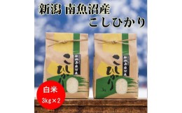 【ふるさと納税】【頒布会】【令和5年産】南魚沼産コシヒカリ(白米3kg×2袋)を全12回