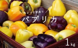 【ふるさと納税】【2024年産予約受付】 のんの畑北海道  訳ありパプリカ 1kg