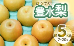 【ふるさと納税】【先行予約】豊水梨 約5kg 7〜20玉 熊本県産【2024年8月上旬より順次発送】