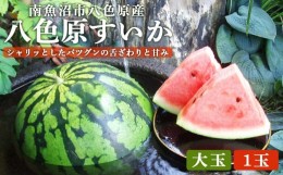 【ふるさと納税】【高級】八色原すいか大玉１玉