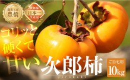 【ふるさと納税】生産量日本一！豊橋の秋の味覚『豊橋石巻産次郎柿（ご自宅用不揃い）１０kg』（30〜50玉）