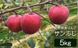 【ふるさと納税】2408長野県産りんご（サンふじ）5kg