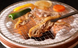 【ふるさと納税】S129-002_天草大王 焼肉セット 約500g 天草産 地鶏