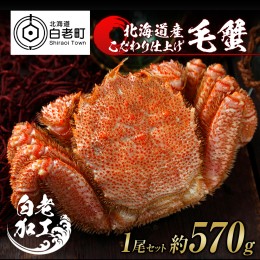 【ふるさと納税】毛蟹 ボイル済み 冷凍 1尾セット 約570g