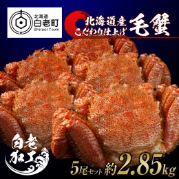 【ふるさと納税】毛蟹 ボイル済み 冷凍 5尾セット 約2.85kg