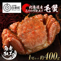 【ふるさと納税】毛蟹 ボイル済み 冷凍 1尾セット 約400g