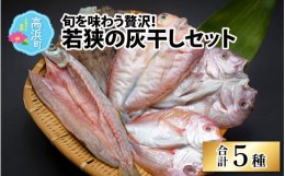 【ふるさと納税】若狭の灰干しセット