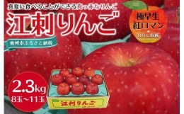 【ふるさと納税】【数量限定】江刺りんご 紅ロマン 2.3kg（8〜11玉）【８月下旬以降お届け】