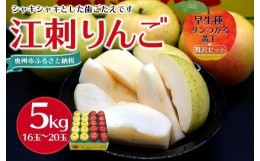 【ふるさと納税】【数量限定】江刺りんご サンつがる・黄王 5kg（16〜20玉）【９月中旬以降お届け】