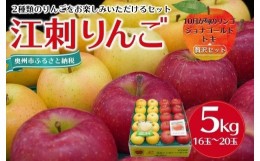 【ふるさと納税】【数量限定】江刺りんご ジョナゴールド・トキ 5kg（16〜20玉）【10月中旬以降お届け】