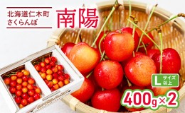 【ふるさと納税】仁木 さくらんぼ 南陽 400g×2