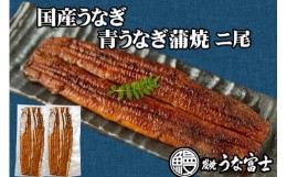 【ふるさと納税】炭焼うな富士　国産特大うなぎ長焼二尾入り