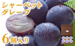 【ふるさと納税】【すっきりした甘さ】ベルヘラルドシャーベットグレープ 6個入 なめらか食感 スイーツ