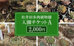 【ふるさと納税】松井田多肉植物園チケットA（2,000円） ANAG002
