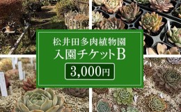 【ふるさと納税】松井田多肉植物園チケットB（3,000円） ANAG003