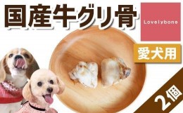 【ふるさと納税】精肉店がこだわった【中小型犬向けおやつ】国産牛グリ骨　2個