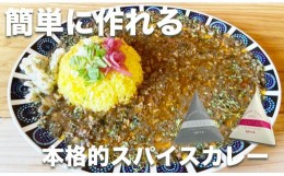 【ふるさと納税】スパイスカレーが簡単に作れるキット （KANTAN spice SET）