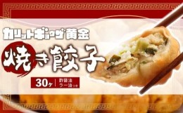 【ふるさと納税】カリットギョウザ焼き餃子冷凍30個　ジューシー