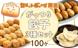 【ふるさと納税】カリットギョウザがっつりセット３種（100ケ）餃子 水餃子 スマイル餃子
