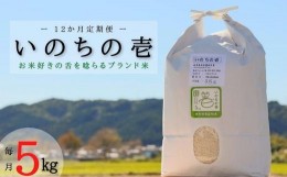 【ふるさと納税】【12か月定期便】【特別栽培米】≪令和5年産新米≫垂井町産いのちの壱(5kg×12回）