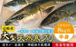 【ふるさと納税】【11/1〜1/15お届け 年末年始用】壱岐島産天然寒ブリ（一本丸ものサイズ8キロ台 半身ブロック）《壱岐市》【壱岐島 玄海