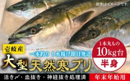 【ふるさと納税】【11/1〜1/15お届け 年末年始用】壱岐島産天然寒ブリ（一本丸ものサイズ10キロ台 半身ブロック）《壱岐市》【壱岐島 玄