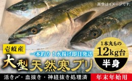 【ふるさと納税】【11/1〜1/15お届け 年末年始用】壱岐島産天然寒ブリ（一本丸ものサイズ12キロ台 半身ブロック）《壱岐市》【壱岐島 玄