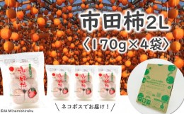 【ふるさと納税】JA38-24A 市田柿 大粒2Lサイズ 170g×4袋／2025年1月中旬〜2月上旬ごろ配送 長野県 南信州 干し柿 市田柿 大粒 2Lサイズ