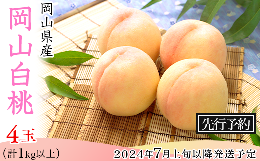 【ふるさと納税】74-09岡山白桃4玉（1kg以上）【2024年7月上旬〜8月上旬頃発送予定】