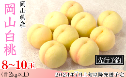 【ふるさと納税】74-10岡山白桃8〜10玉（2kg以上）【2024年7月上旬〜8月上旬頃発送予定】