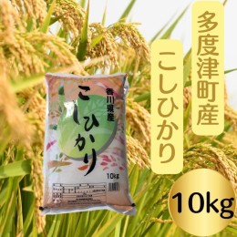 【ふるさと納税】【令和5年産新米】多度津町産こしひかり 10kg 【A-93】