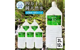 【ふるさと納税】《定期便》 四万十の純天然水 (2L×6本)×2ケース 6回コース 水 天然水 軟水 モンドセレクション金賞受賞 ナチュラルミ