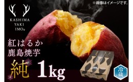 【ふるさと納税】鹿島焼芋　純　1kg （KBK-12）