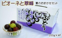 【ふるさと納税】【数量限定】ピオーネと翠峰の夏のおまかせセット約200g×4パック★2024年9月上旬頃より順次発送