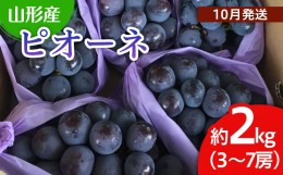 【ふるさと納税】山形市産 ぶどう(ピオーネ) 秀 2kg(3〜7房)[後半] 【令和6年産先行予約】FU22-038