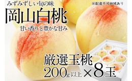 【ふるさと納税】桃 2024年 先行予約 岡山の白桃 200g以上×8玉 白桃 旬 みずみずしい 晴れの国 おかやま 岡山県産 フルーツ王国 果物王