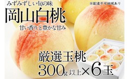 【ふるさと納税】桃 2024年 先行予約 岡山の白桃 300g以上×6玉 白桃 旬 みずみずしい 晴れの国 おかやま 岡山県産 フルーツ王国 果物王