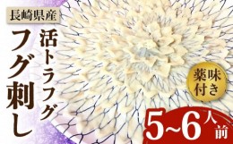 【ふるさと納税】【長崎県産】活トラフグ フグ刺し（5〜6人前）  / 南島原市 / ながいけ [SCH031]