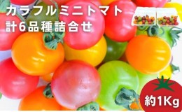 【ふるさと納税】「栗林農園」カラフルミニトマト詰合せ