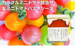 【ふるさと納税】「栗林農園」素のままパスタソースとカラフルミニトマト詰合せ