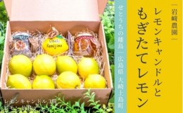 【ふるさと納税】[1〜3月発送] 大崎上島産 プレゼントにおすすめ！レモン&キャンドルのギフトセット