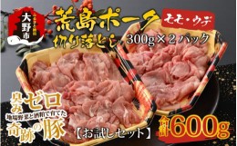 【ふるさと納税】【お試しセット】【福井のブランド豚肉】荒島ポーク モモ・ウデ切り落とし 600g