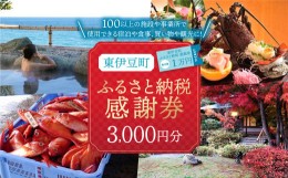 【ふるさと納税】東伊豆町 ふるさと納税 感謝券 3000円 1066 ／ 静岡県 旅行 宿泊 食事 観光 チケット クーポン 補助 リフォーム ホテル 