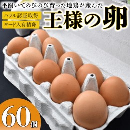 【ふるさと納税】王様の卵 ヨード入 60個 平飼い 地鶏 有精卵 濃厚 卵 こだわり卵 たまご