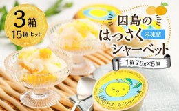 【ふるさと納税】因島のはっさくシャーベット(未凍結）（75g×5個）3箱 15個セット