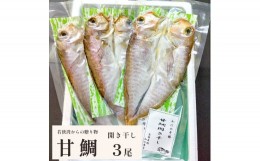 【ふるさと納税】若狭湾 の 甘鯛 開き干し 3尾